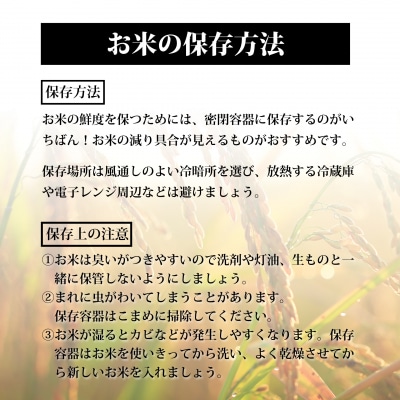 【先行予約】令和8年宮城県大崎市産 ひとめぼれ 10kg