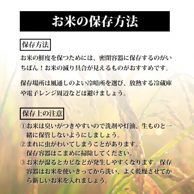【定期3回】《精米》令和8年宮城県大崎市産 ひとめぼれ 5kg*3回