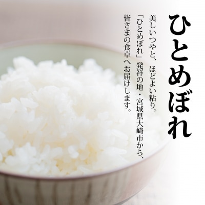 【定期4回】《精米》令和8年宮城県大崎市産 ひとめぼれ 5kg*4回