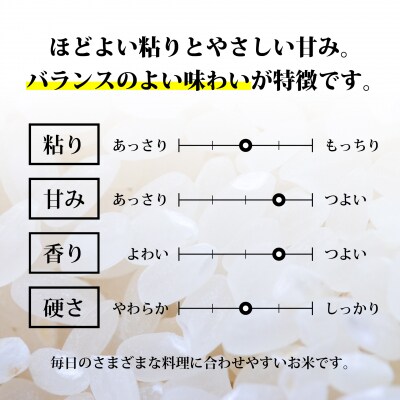 【定期6回】《精米》令和8年宮城県大崎市産 ひとめぼれ 5kg*6回