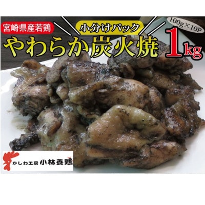宮崎県産　やわらか炭火焼100g×10Pセット　薬味付き