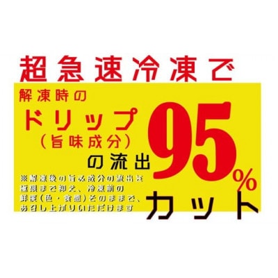 宮崎県産　やわらか炭火焼100g×10Pセット　薬味付き