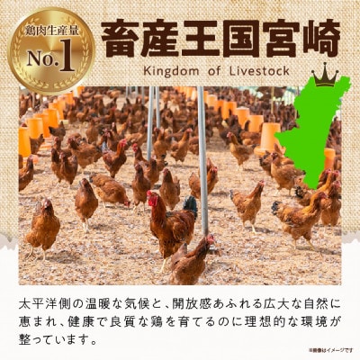 宮崎県産若鶏もも肉カット 1.2kg(300g×4P)