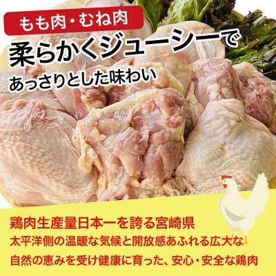 【業務用】宮崎県産若鶏もも肉 むね肉 (大)パック 計8kg