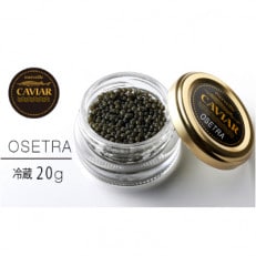 Merveille CAVIAR OSETRA 20g(冷蔵) メルベイユキャビア オシェトラ