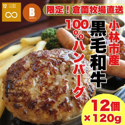 【おためし+4個】黒毛和牛専門店の黒毛和牛100%ハンバーグプラス(計12個)