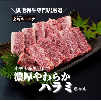 【黒毛和牛専門店直送】小林市産黒毛和牛ハラミちゃん400g【A111】 卸専門店からご自宅へ 貴重 黒毛和牛 ハラミ