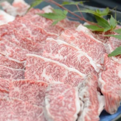 【黒毛和牛専門店直送】小林市産黒毛和牛ハラミちゃん400g【A111】 卸専門店からご自宅へ 貴重 黒毛和牛 ハラミ