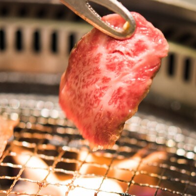 【黒毛和牛専門店直送】小林市産宮崎牛ロース&モモ焼肉用 計600g【B020】