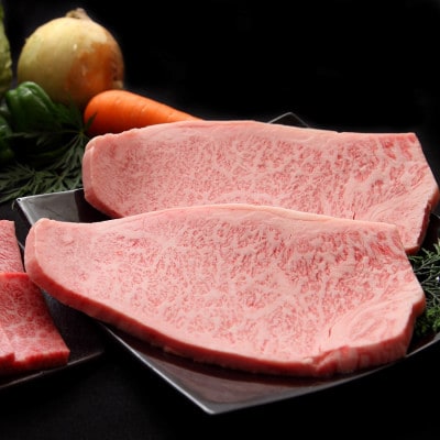 【プレミアムシリーズ】厳選宮崎牛メス指定　A5等級サーロインステーキ　500g【B058】