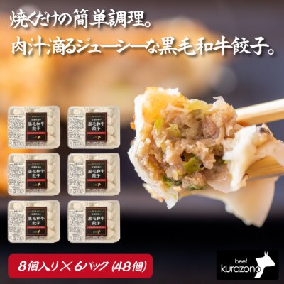 【A002・肉汁あふれる】倉薗牧場肉汁滴る黒毛和牛100%餃子　6P(48個)