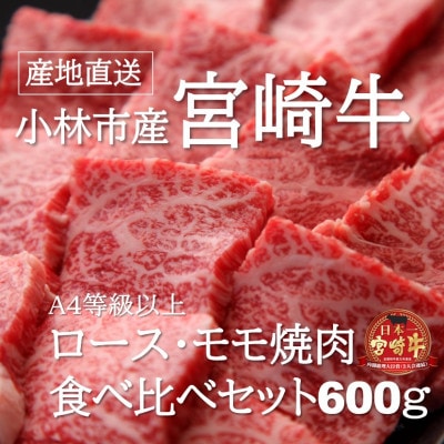 【B020・黒毛和牛専門店直送】小林市産宮崎牛ロース&モモ焼肉用 計600g