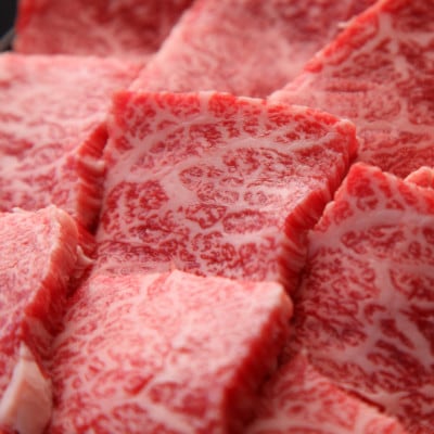 【B020・黒毛和牛専門店直送】小林市産宮崎牛ロース&モモ焼肉用 計600g