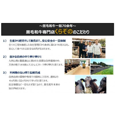 【B059・プレミアムシリーズ】厳選宮崎牛メス指定　A5等級内モモステーキ　400g