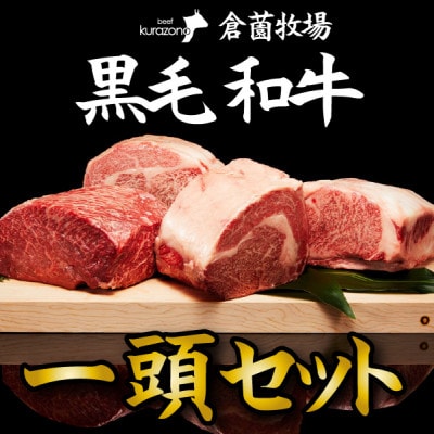 【倉薗牧場直送】長期育成牛・小林市産くらぞの黒毛和牛　一頭セット　C171