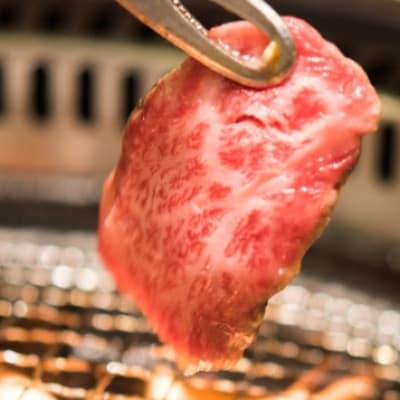 【直売・特別提供品】A5等級小林市産宮崎牛特上カルビ焼肉用 C086