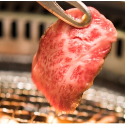 【生産直売】A5等級小林市産宮崎牛こだわり焼肉食べ比べセット C088