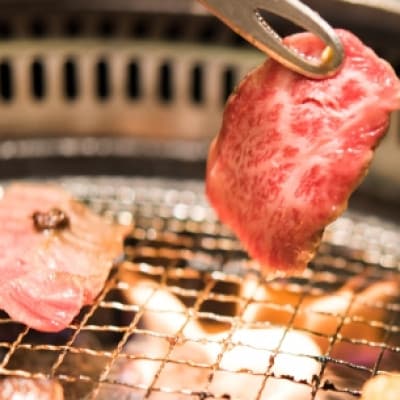 【百名店の味をご自宅で!】A5等級宮崎牛ロース焼肉用　500g C166