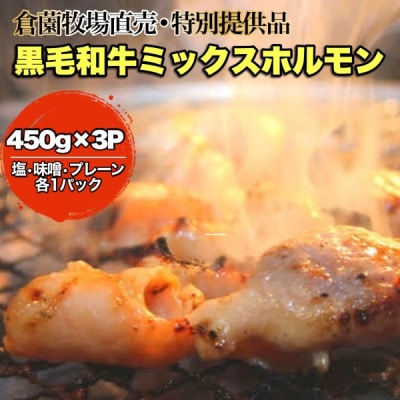 【直売・特別提供品】倉薗黒毛和牛ミックスホルモン3パックセット C083