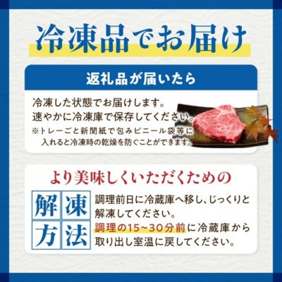 【おためし特別提供品】宮崎牛赤身ステーキ　おためしファミリーパック　DAS004