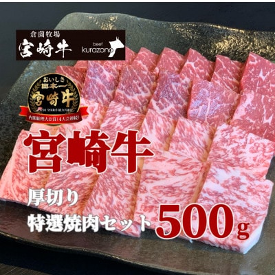 【黒毛和牛レストラン直送】宮崎牛メス指定厚切り特選焼肉セット500g(D033)