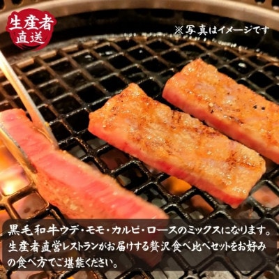 【黒毛和牛レストラン直送】黒毛和牛切り落とし焼肉・よくばり厚切り食べ比べセット 600g(D042)