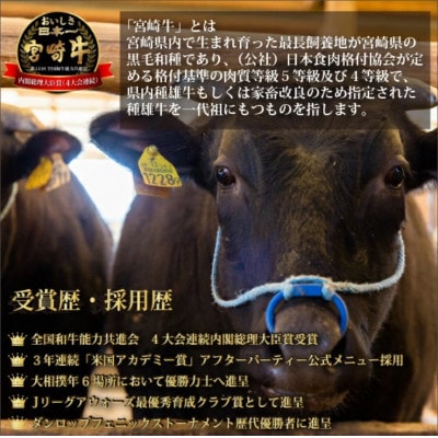 畜産農家応援!『宮崎牛』ロースステーキ300g(DAS043)