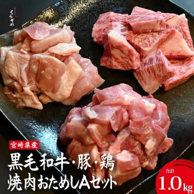 宮崎県産 牛・豚・鶏 焼肉おためしAセット 計1kg(D085)