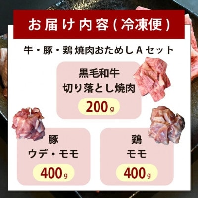 宮崎県産 牛・豚・鶏 焼肉おためしAセット 計1kg(D085)
