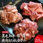宮崎県産 牛・豚・鶏 焼肉おためしBセット 計2kg(D086)