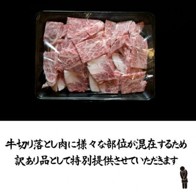 宮崎県産 牛・豚・鶏 焼肉おためしCセット 計3kg(D087)