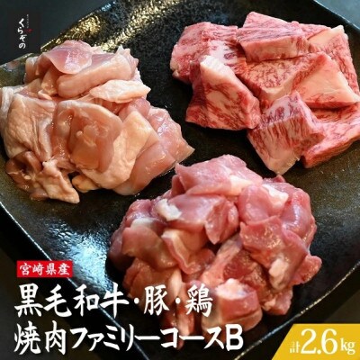 宮崎県産 牛・豚・鶏 焼肉ファミリーコースB 計2.6kg(D089)