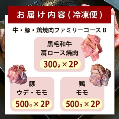 宮崎県産 牛・豚・鶏 焼肉ファミリーコースB 計2.6kg(D089)