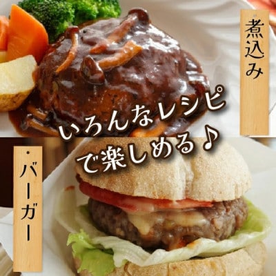 黒毛和牛専門店の宮崎県産黒毛和牛ハンバーグ(19個)(DAS063)