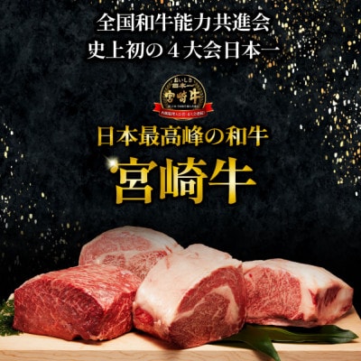 【生産者直送】A4等級以上 宮崎牛スジ肉 約3.0kg(EAS020)