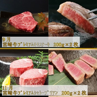 【発送月固定定期便】【お肉の定期便】百名店 宮崎牛A5等級メス・プレミアムコース全6回
