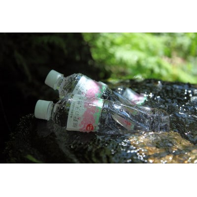 細野の天然水　555ml×24本入り(1箱)