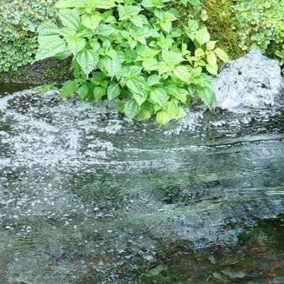 【毎月定期便】霧島のおいしい2L(1箱6本入) 　天然水 ナチュラルウォーター シリカ 中硬水全6回