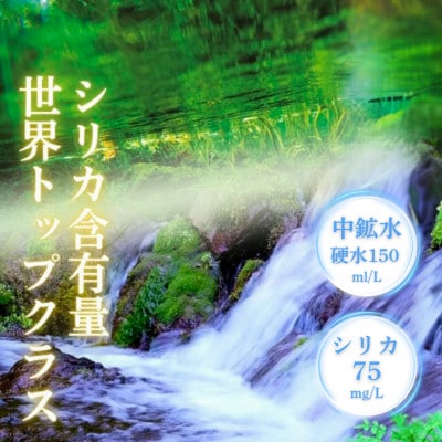 【毎月定期便】ラベルレス 細野の天然水 555ml×24本 シリカ水 ミネラルウォーター全6回