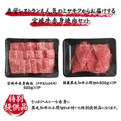 【数量限定受付!】宮崎牛お任せ赤身焼肉と黒毛和牛小間切れセット(小林市)