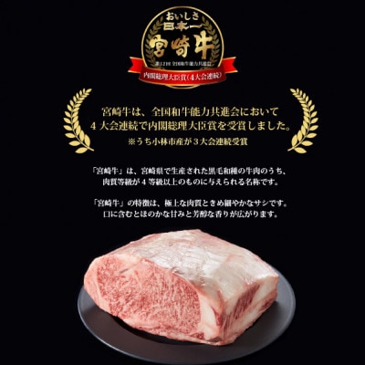 【数量限定受付!】宮崎牛ミスジステーキと黒毛和牛小間切れセット(小林市)