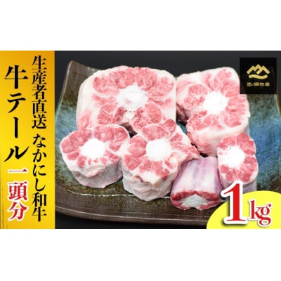 【生産者直送】なかにし和牛テール1頭分(1kg程度)(C031)(小林市)