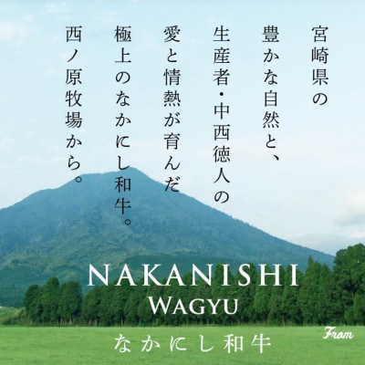 【生産者直送】なかにし和牛テール1頭分(1kg程度)(C031)(小林市)