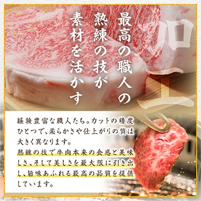 【生産者まかない用特別提供品】特別提供・宮崎牛不揃いカットステーキ 500g(C032)(小林市)