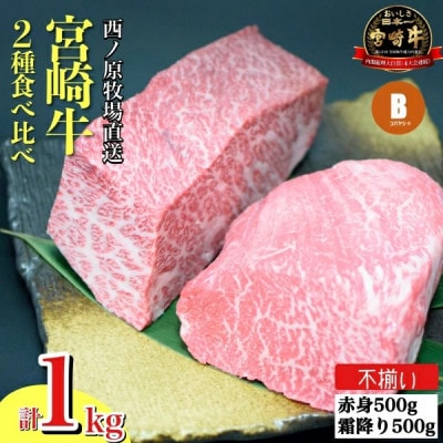【生産者まかない用特別提供品】宮崎牛部位お任せ不揃いブロック　1kg(C033)(小林市)