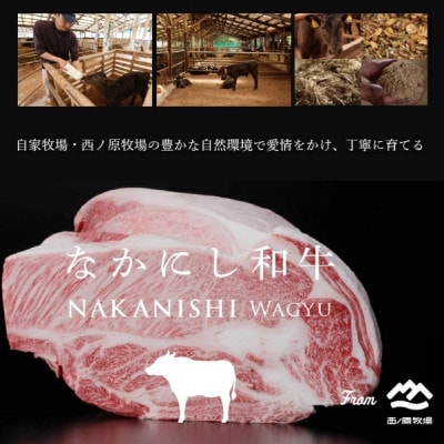 【生産者直送】宮崎牛おためしすき焼き用　500g×1P(C197)(小林市)