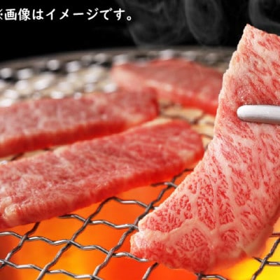 【生産者直送】なかにし和牛赤身焼肉 -特上-(D023)(小林市)