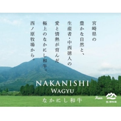 【生産者直送】なかにし和牛赤身焼肉 -特上-(D023)(小林市)