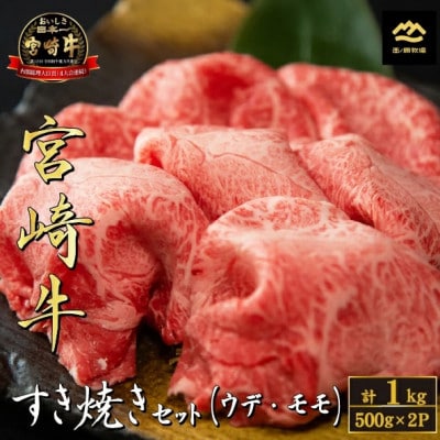 【A4等級以上】宮崎牛おためしすき焼き 500g×2P(DAS068)(小林市)