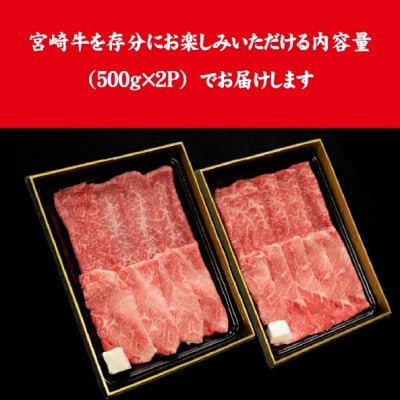【A4等級以上】宮崎牛おためしすき焼き 500g×2P(DAS068)(小林市)